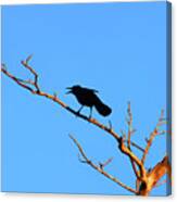 47- Crow For Me Canvas Print