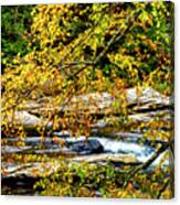 Autumn Middle Fork River #5 Canvas Print