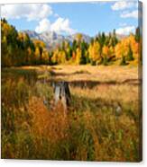 Autumn Splender #5 Canvas Print