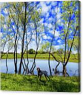 Texas Hill Country #5 Canvas Print