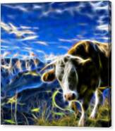 Cow #6 Canvas Print