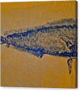 Gyotaku - Mahi Mahi - Dorado - Dolphinfish #6 Canvas Print