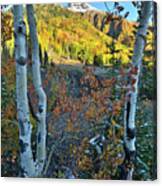 Red Mountain Pass #8 Canvas Print