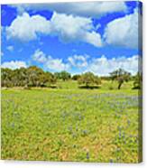Texas Hill Country Canvas Print