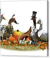 Thanksgiving Ducks #6 Canvas Print