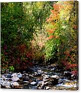 Rocky Mountain Fall Canvas Print