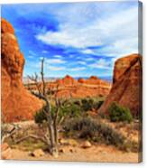 Arches National Park #7 Canvas Print