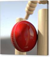 Cricket Ball Hitting Wickets #7 Canvas Print