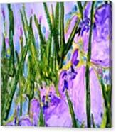 Divine Flowers #713 Canvas Print