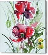 Poppies #8 Canvas Print