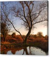 New Forest - England #80 Canvas Print