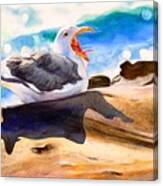 #87 Yawning Seagull #87 Canvas Print
