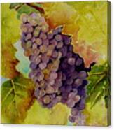 A Bunch Of Grapes Canvas Print
