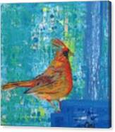A Cardinal Came By Canvas Print