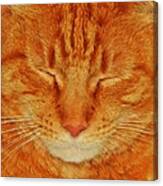 A Cat Portrait Canvas Print