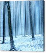 A Forest In Winter Canvas Print