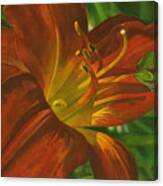 A Frog On A Lily Canvas Print