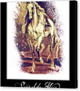 A Grey Horse Canvas Print