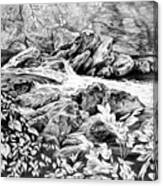 A Hiker's View - Landscape Print Canvas Print