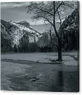 A Little Light In The Winter Bw Canvas Print