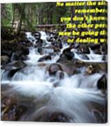 A Mountain Stream Situation 2 Canvas Print