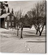 A Path To Home Canvas Print