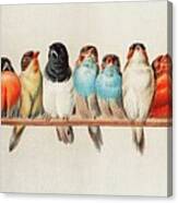A Perch Of Birds, 1880 Canvas Print