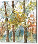 A Poplar Treeo Canvas Print