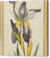 A Purple Iris Canvas Print