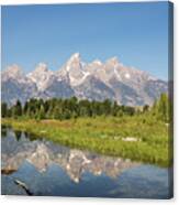 A Reflection Of The Tetons Canvas Print