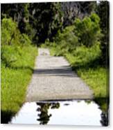 A Reflection On Heron Hideout Trail Canvas Print
