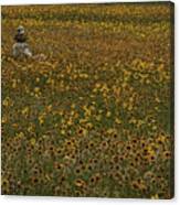A Sea Of Wildflowers Canvas Print