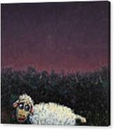 A Sheep In The Dark Canvas Print