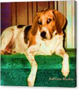 A Special Beagle Canvas Print