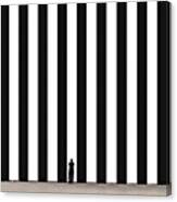A Star And Stripes Canvas Print