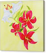 A Study Of Lilies Canvas Print