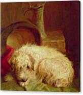 A Terrier By John Fitz Marshall Canvas Print
