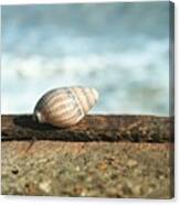 A #trip To The #beach Resulted In Me Canvas Print