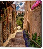 A View Of The Old City Walls Canvas Print