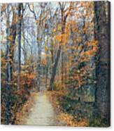 A Walk In November Canvas Print
