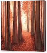 A Walk In The Redwoods Canvas Print