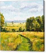 A Walk Thru The Fields Canvas Print