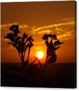 A Weed Sunset Canvas Print