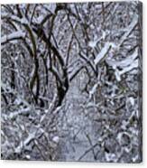 A Winter Bramble Canvas Print