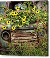 Abandoned Old Ford Truck With Yellow Flowers In The Ghost Town By Okaton South Dakota Canvas Print