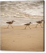 Outer Banks Obx #9 Canvas Print