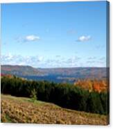 Above The Vines Canvas Print