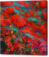 Abstract - Red Canvas Print