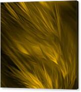 Abstract Art - Feathered Path Gold By Rgiada Canvas Print