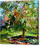 Abstract Cherry Tree Canvas Print